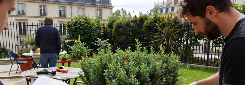 Fourchettes Tarifs Entretien Jardin Paris 8 Professionnels jardinage au travail Paris 8ème : taille haie, tonte pelouse et estimation budget entretien