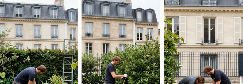 Interventions Jardinier Paris 11eme Jardinier professionnel réalisant tonte, taille de haie et entretien dans jardins parisiens du 11ème arrondissement