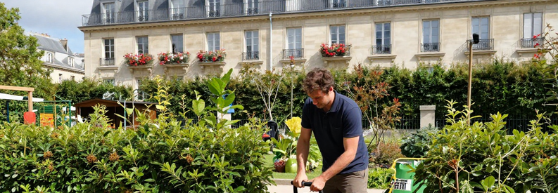 Jardinier Entretien Haie Paris 12eme Jardinier professionnel taillant haie mitoyenne dans jardin parisien typique du 12ème arrondissement