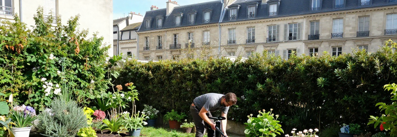 Jardinier Entretien Jardin Ville Paris 19eme Professionnel tondant pelouse dans petit jardin urbain parisien du 19ème arrondissement entouré d'immeubles