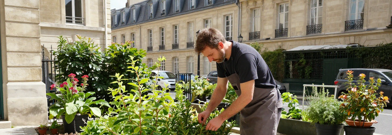 Jardinier Professionnel Terrasse Paris 5eme Jardinier entretenant terrasse végétalisée dans petit espace urbain parisien du 5ème arrondissement