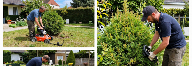 Prestations Entretien Jardin Nanterre Tarifs Trois prestations jardinage Nanterre : taille haie, tonte pelouse et débroussaillage par professionnels