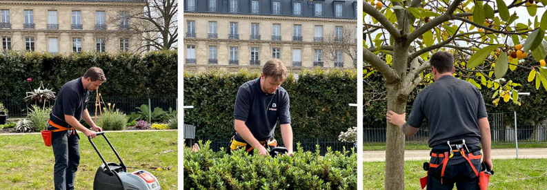 Prestations Entretien Jardin Paris 4eme Trois prestations jardinage : tonte pelouse, taille haie, élagage arbre dans jardin parisien du 4ème arrondissement