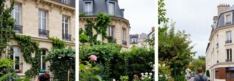 Quartiers Residentiels Jardins Paris 13 Secteurs résidentiels atypiques 13ème : Butte-aux-Cailles, Cité Florale, contraintes jardinage quartier parisien