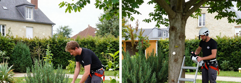 Cout Entretien Jardin Montreuil Comparatif Trois prestations jardinage Montreuil : tonte pelouse, taille haie et élagage arbre par professionnels équipés