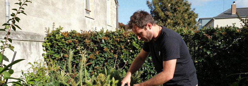 Jardinier Lyon 7eme Taille Haie Urbain Jardinier professionnel taillant une haie dans petit jardin urbain du 7ème arrondissement de Lyon, immeuble haussmannien visible.