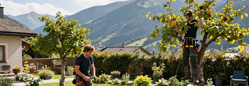 Tarifs Services Jardinier Savoie Trois services de jardinage en Savoie : tonte de pelouse, élagage d'arbre professionnel et jardin entretenu.