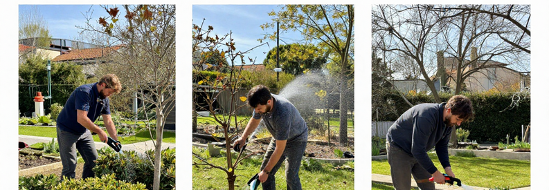 Calendrier Entretien Jardin Marseille 7eme Calendrier saisonnier d'entretien jardin à Marseille : taille printemps, tonte estivale, élagage automnal, repos hivernal