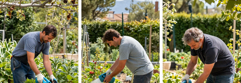 Calendrier Travaux Jardinage Marseille 13eme Trois étapes saisonnières du jardinage à Marseille : taille printanière, arrosage estival intensif, entretien automnal avec ramassage feuilles.
