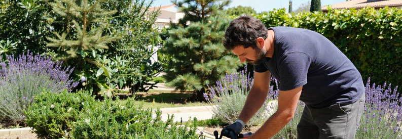 Jardinier Marseille 16 Entretien Haie Laurier Jardinier entretenant haie méditerranéenne lavande romarin dans jardin Marseille 16ème sous soleil intense