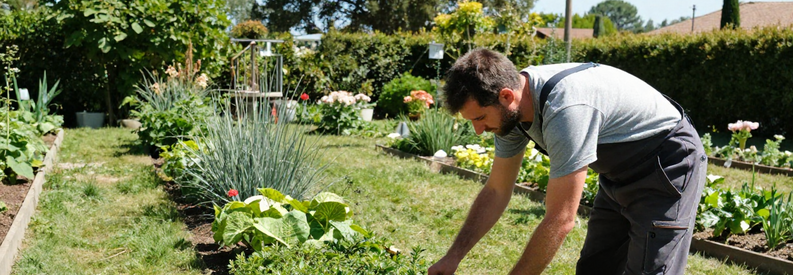 Jardinier Var Entretien Professionnel Jardinier professionnel effectuant l'entretien complet d'un jardin varois : taille, tonte et désherbage