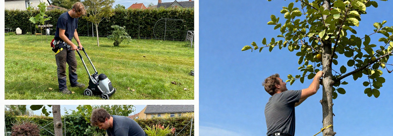 Prestations Jardinage Haute Loire Tonte Taille Elagage Trois services de jardinage en Haute-Loire : tonte de pelouse, taille de haie et élagage d'arbre par professionnels au travail