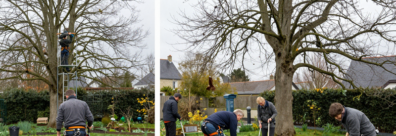 Services Jardinage Hauts De France Triptyque Trois services jardinage régionaux : tonte automne, élagage sécurisé, installation arrosage automatique. Professionnels Hauts-de-France adaptés au climat océanique.