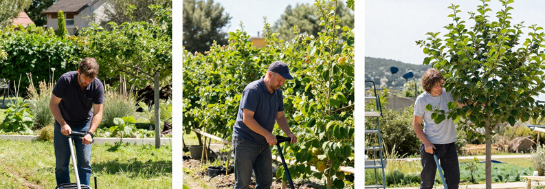 Tarifs Jardiniers Var Trois Prestations Trois services jardiniers du Var : tonte pelouse, taille haie, élagage arbre. Professionnels au travail, tarifs illustrés par actions réelles.